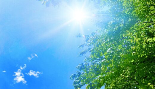夏まっさかりです☀