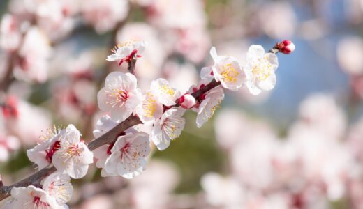 2月は「逃げる」