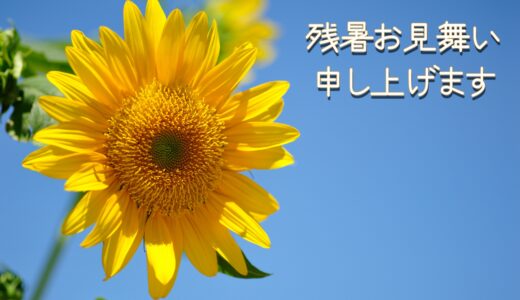 お盆は過ぎましたが。。。